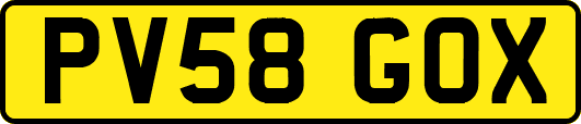 PV58GOX