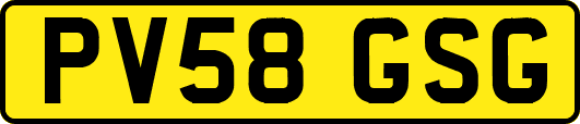 PV58GSG
