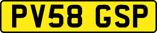 PV58GSP