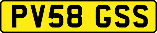 PV58GSS