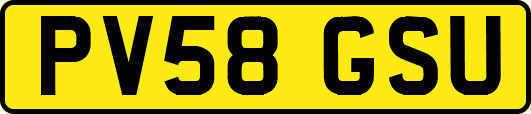 PV58GSU