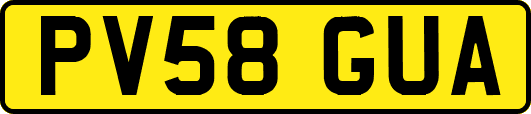 PV58GUA