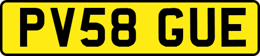 PV58GUE
