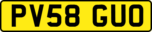 PV58GUO