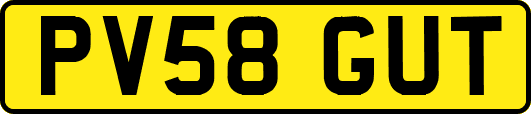 PV58GUT