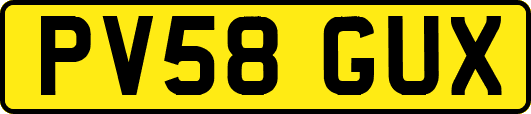 PV58GUX