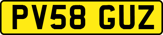 PV58GUZ