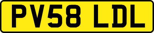 PV58LDL