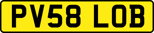 PV58LOB