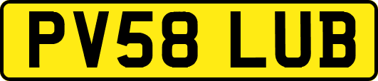 PV58LUB