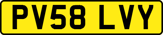 PV58LVY