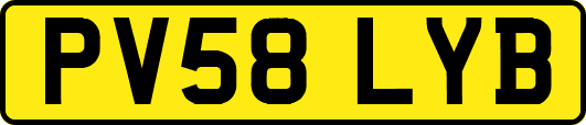 PV58LYB