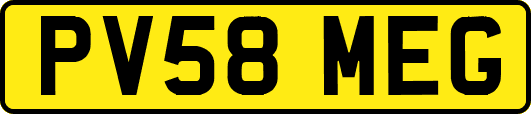 PV58MEG
