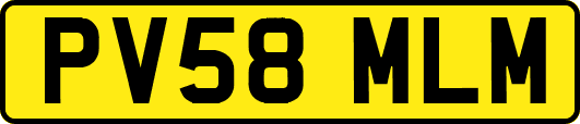 PV58MLM