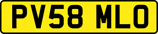 PV58MLO