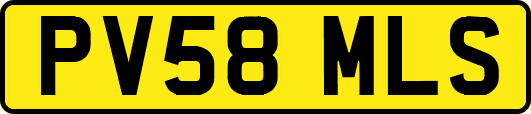 PV58MLS