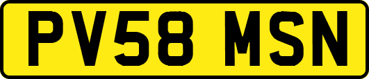 PV58MSN