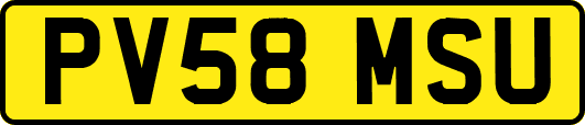 PV58MSU