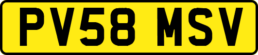 PV58MSV