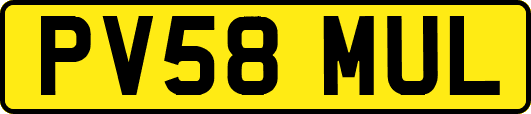 PV58MUL