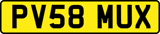 PV58MUX