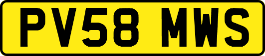 PV58MWS