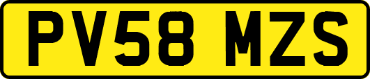 PV58MZS
