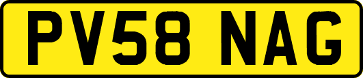 PV58NAG