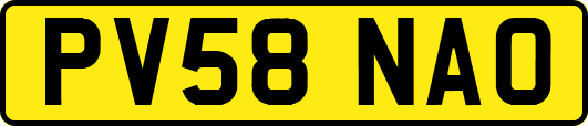 PV58NAO