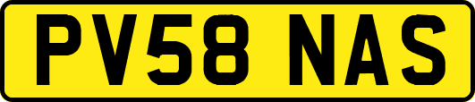 PV58NAS