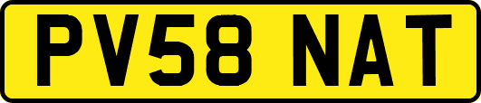 PV58NAT