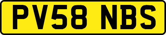 PV58NBS