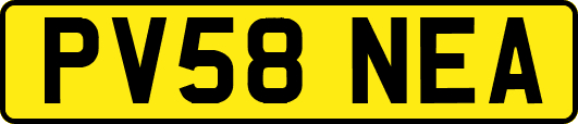 PV58NEA