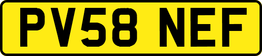 PV58NEF