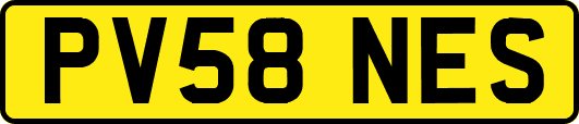 PV58NES