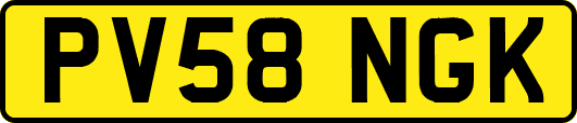 PV58NGK