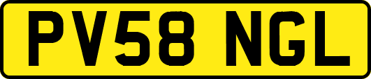 PV58NGL