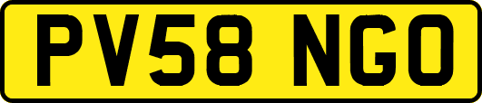 PV58NGO