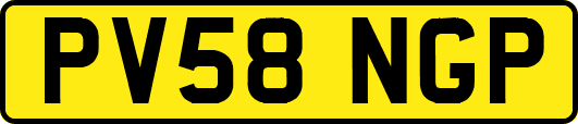 PV58NGP