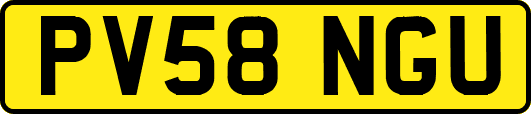 PV58NGU