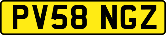 PV58NGZ