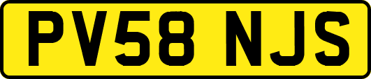PV58NJS