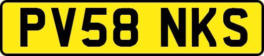PV58NKS