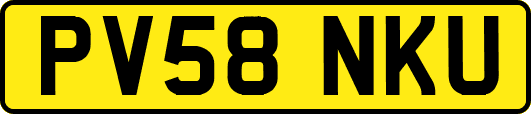PV58NKU