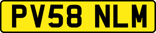 PV58NLM
