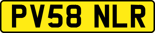 PV58NLR