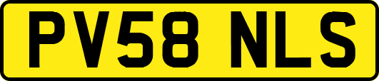 PV58NLS