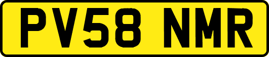PV58NMR
