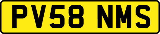PV58NMS