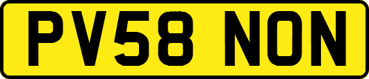 PV58NON
